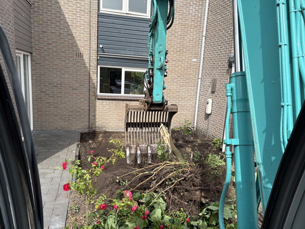 Tuin